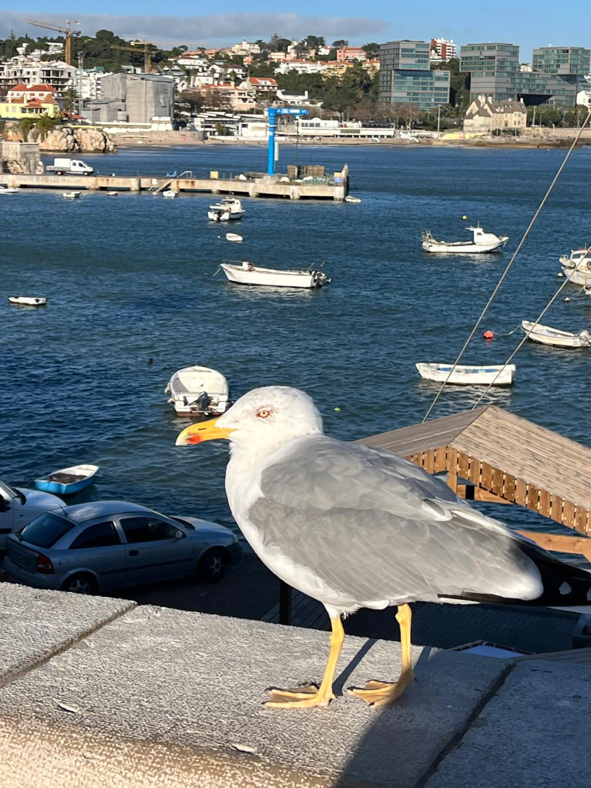 Tour de lisboa - Imagem