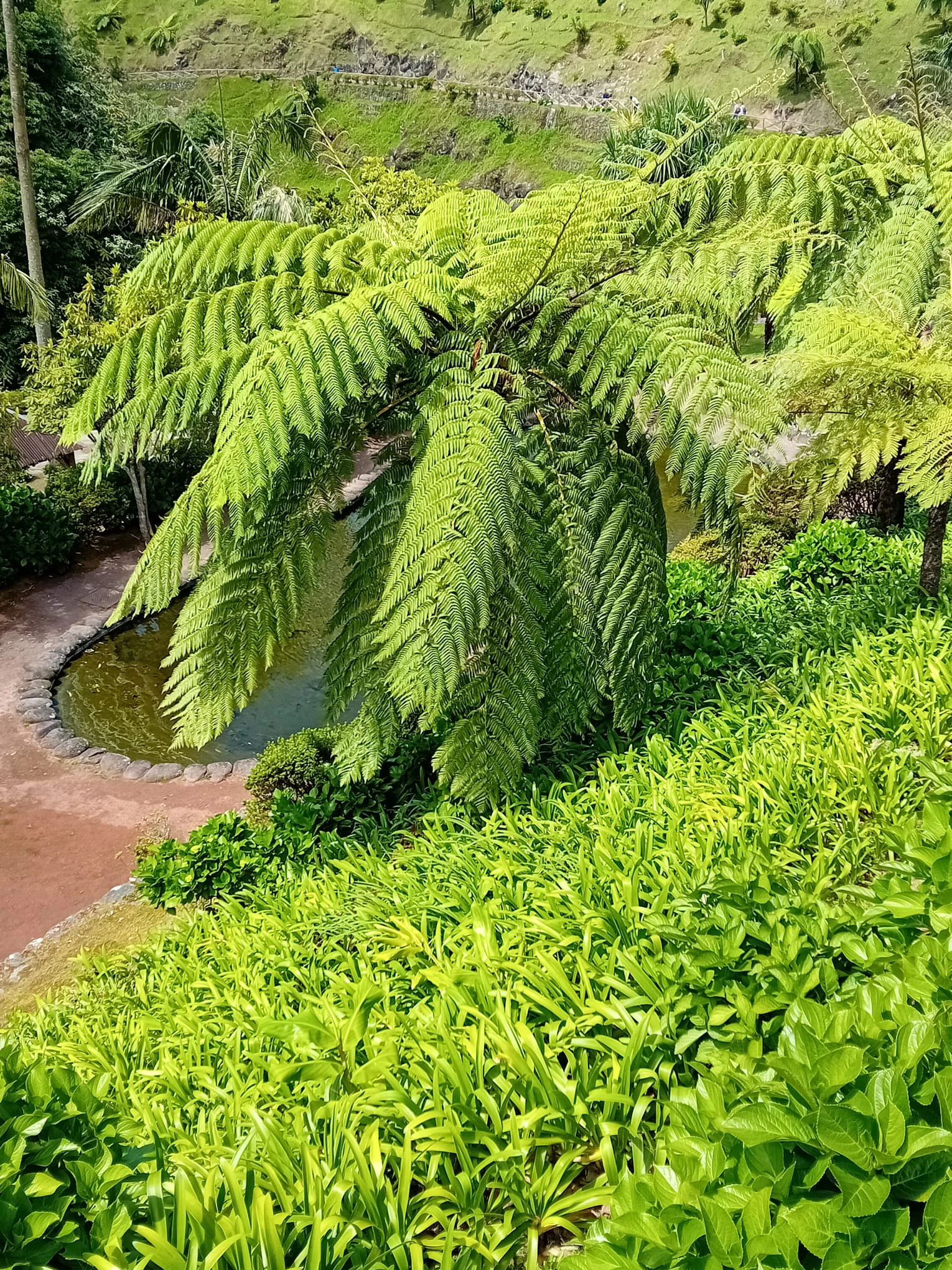 Tour dos acores - Imagem